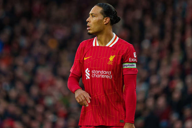 自然的朝圣 自然的朝圣