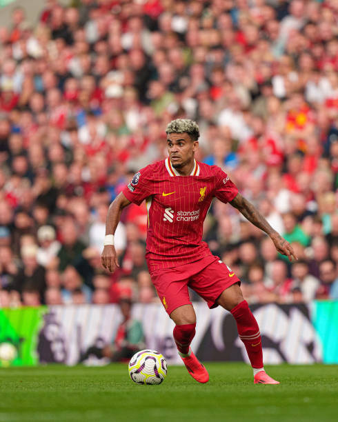 比利时中场 比利时中场